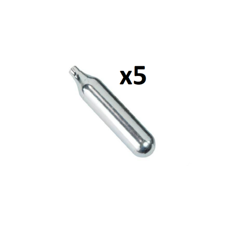 Cartouches CO2 12g x5